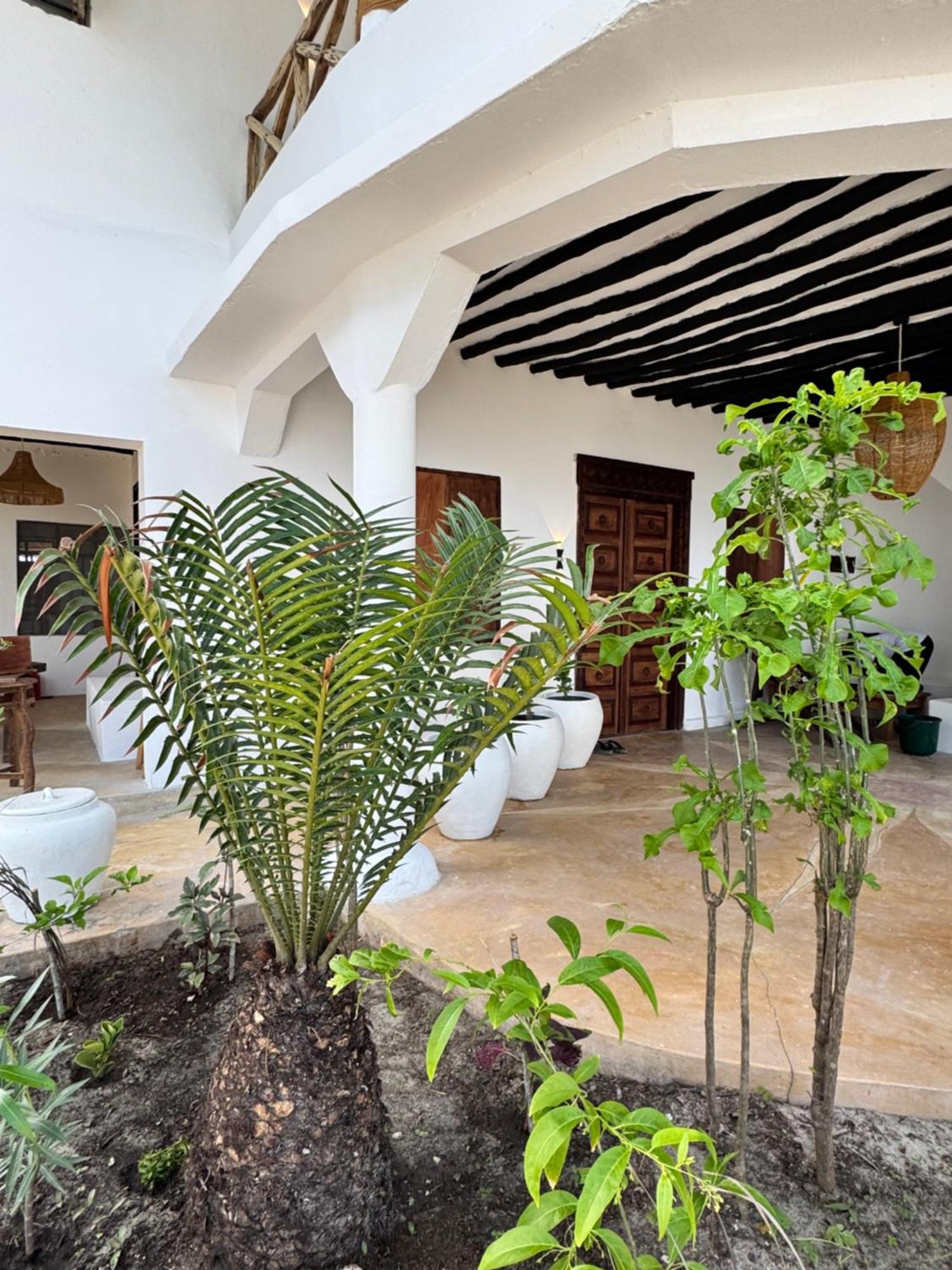 גאמביאני Mango Beach House מראה חיצוני תמונה